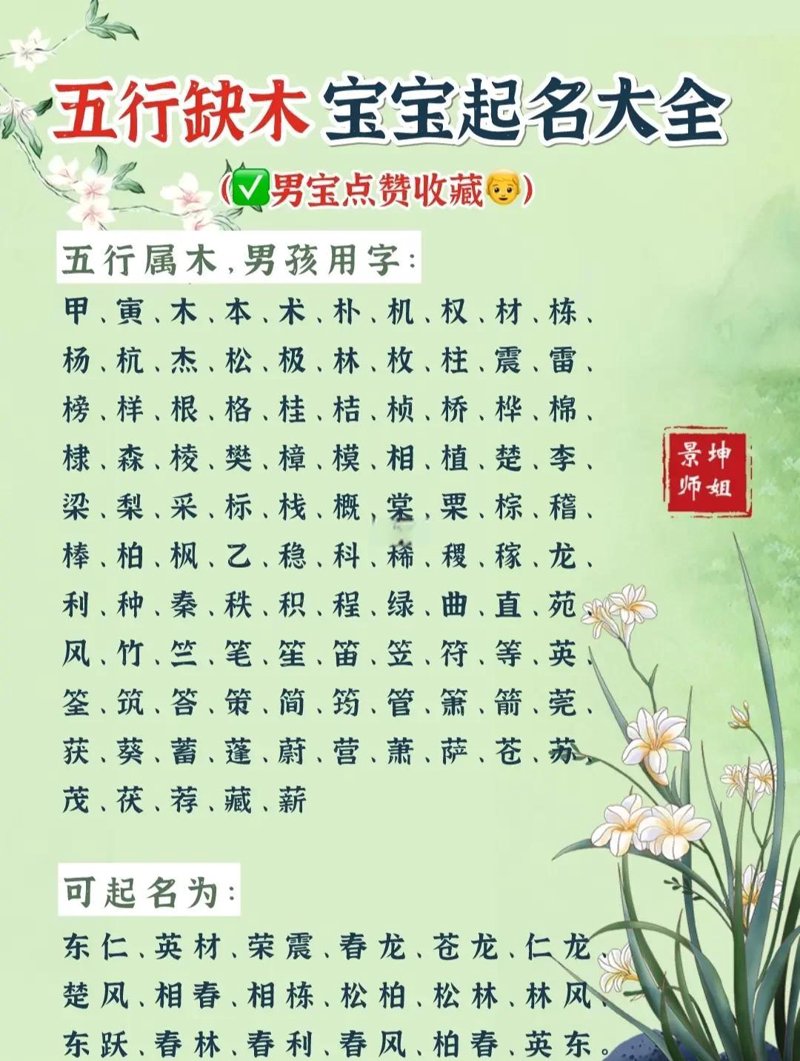 探秘中华瑰宝——周易文化的历史与发展