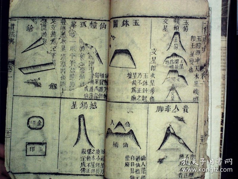 传承文化之美——探秘传统文化传播中心的最新动态